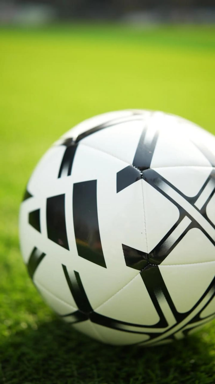 用户成功案例展示